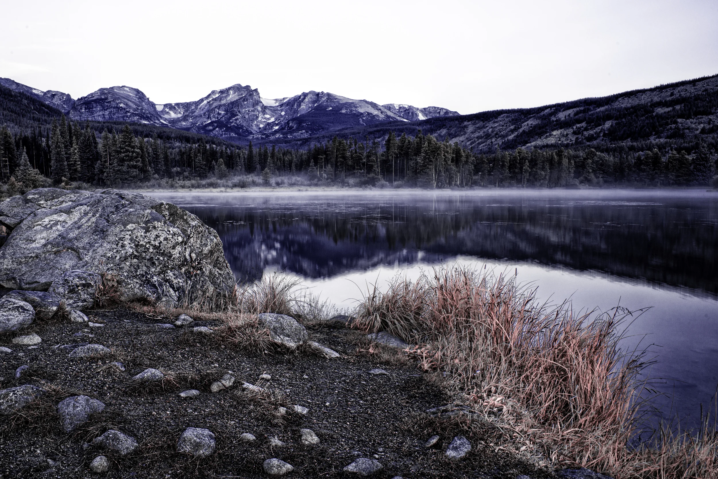 DSC_7619-Edit.jpg