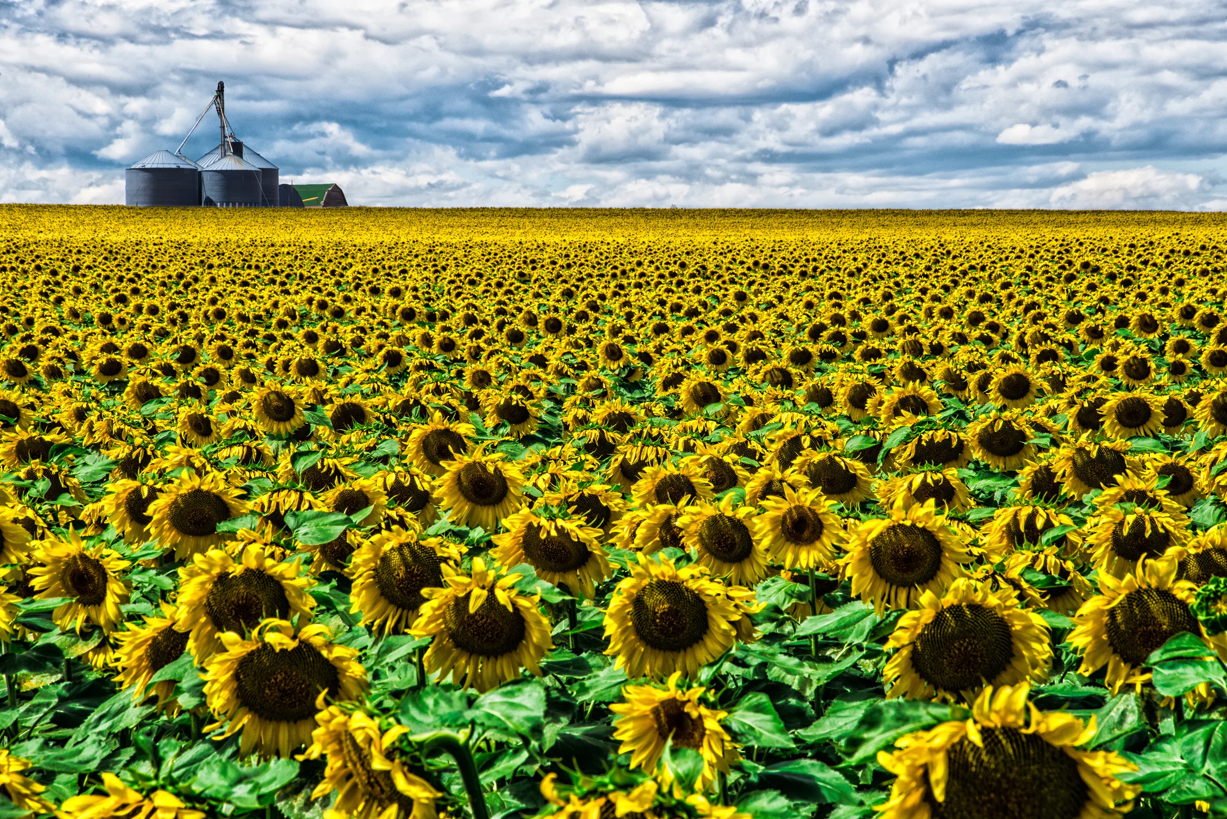 DSC_9058-Edit.jpg