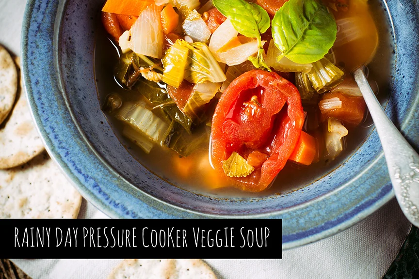 Pressure Cooker Veggie Soup