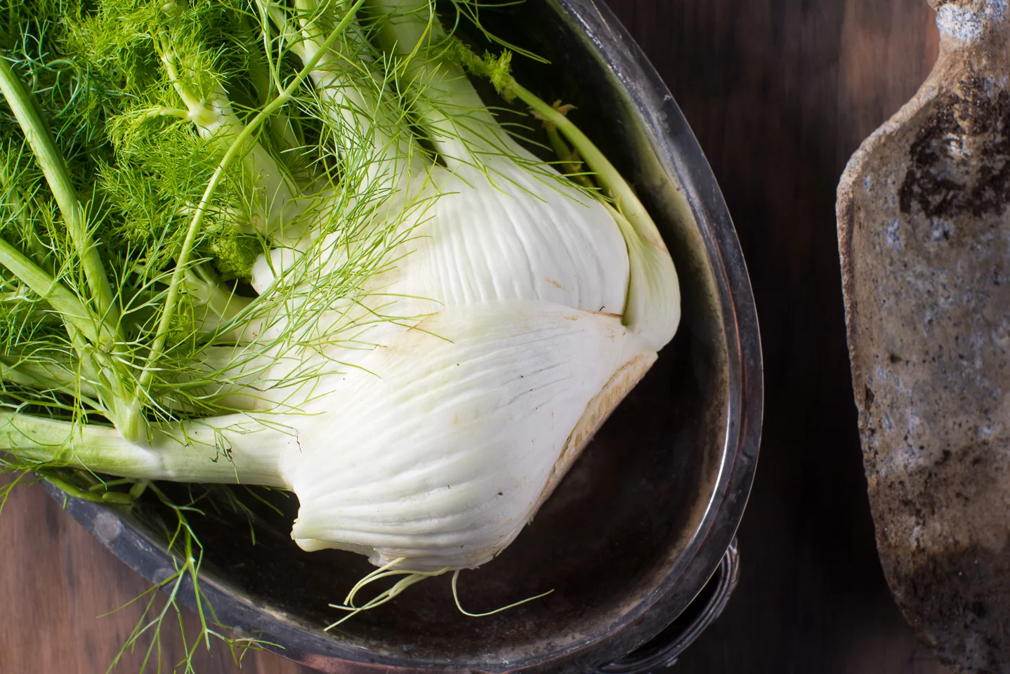 Grilled Fennel with Farro