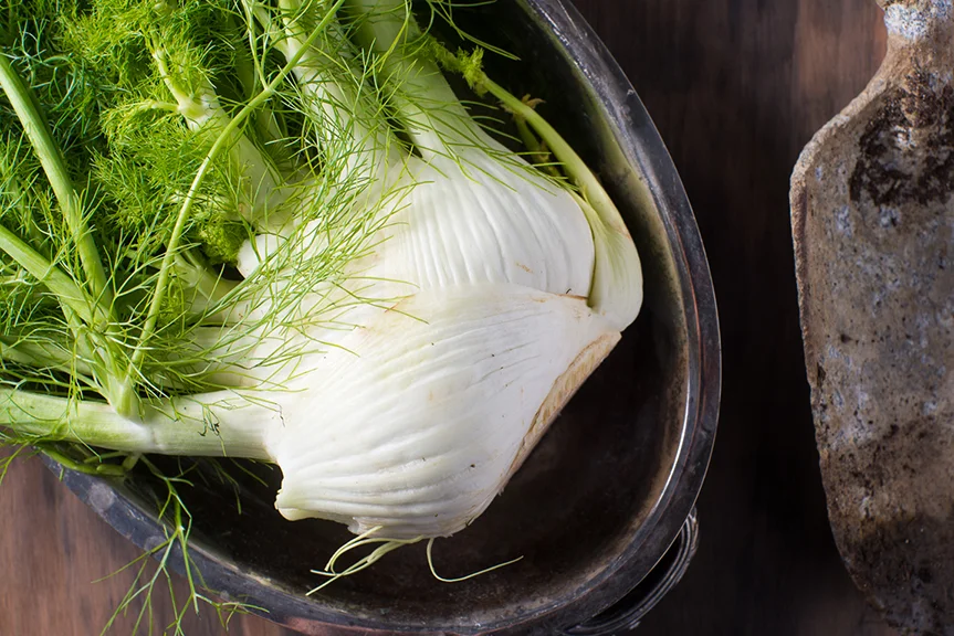 fennel.jpg