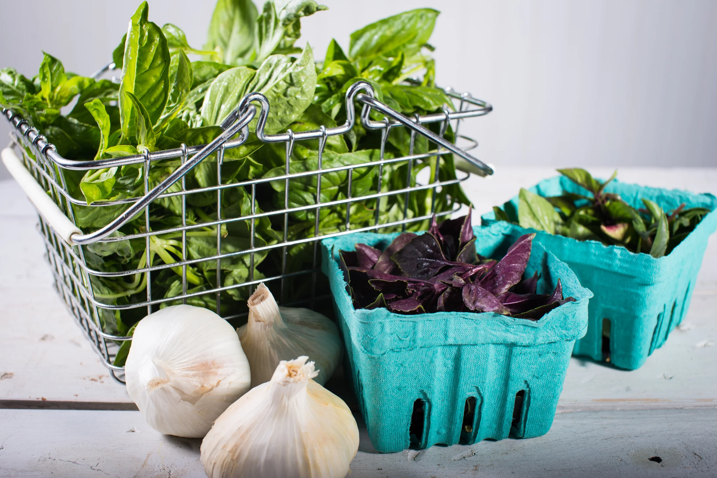 The makings for fresh basil