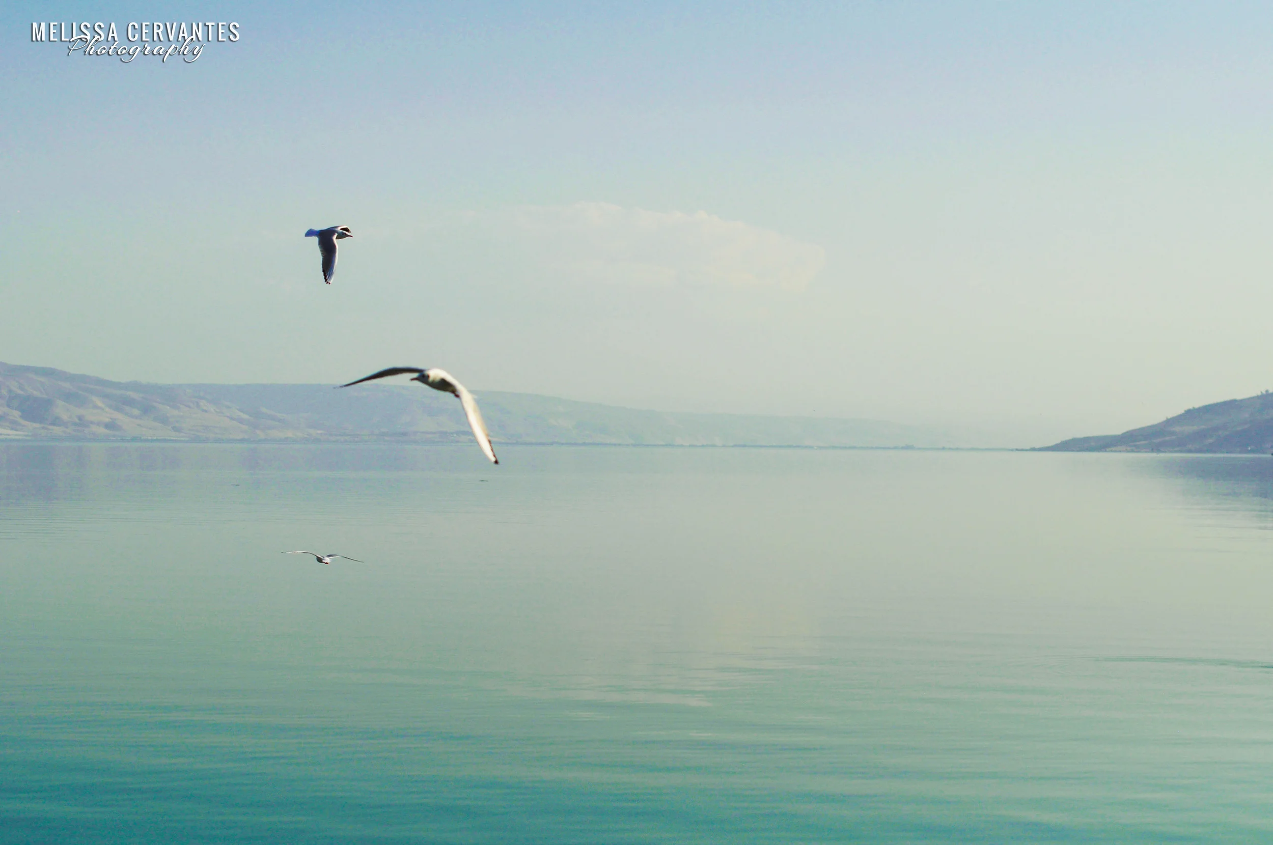 seaofgalilee-2 copy.jpg
