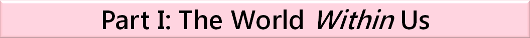 PartIIcon.png