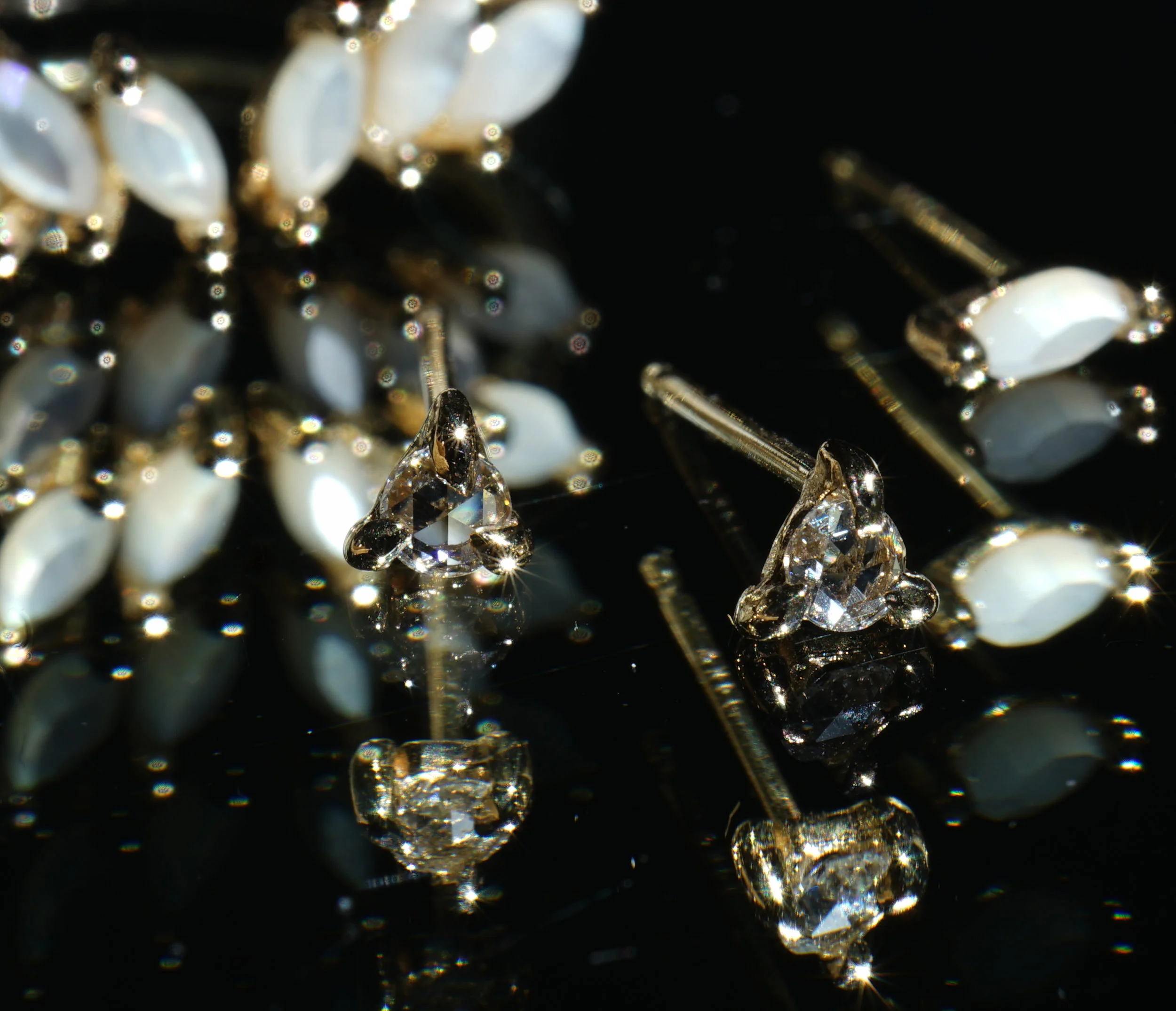 DSC02841crop2.jpg