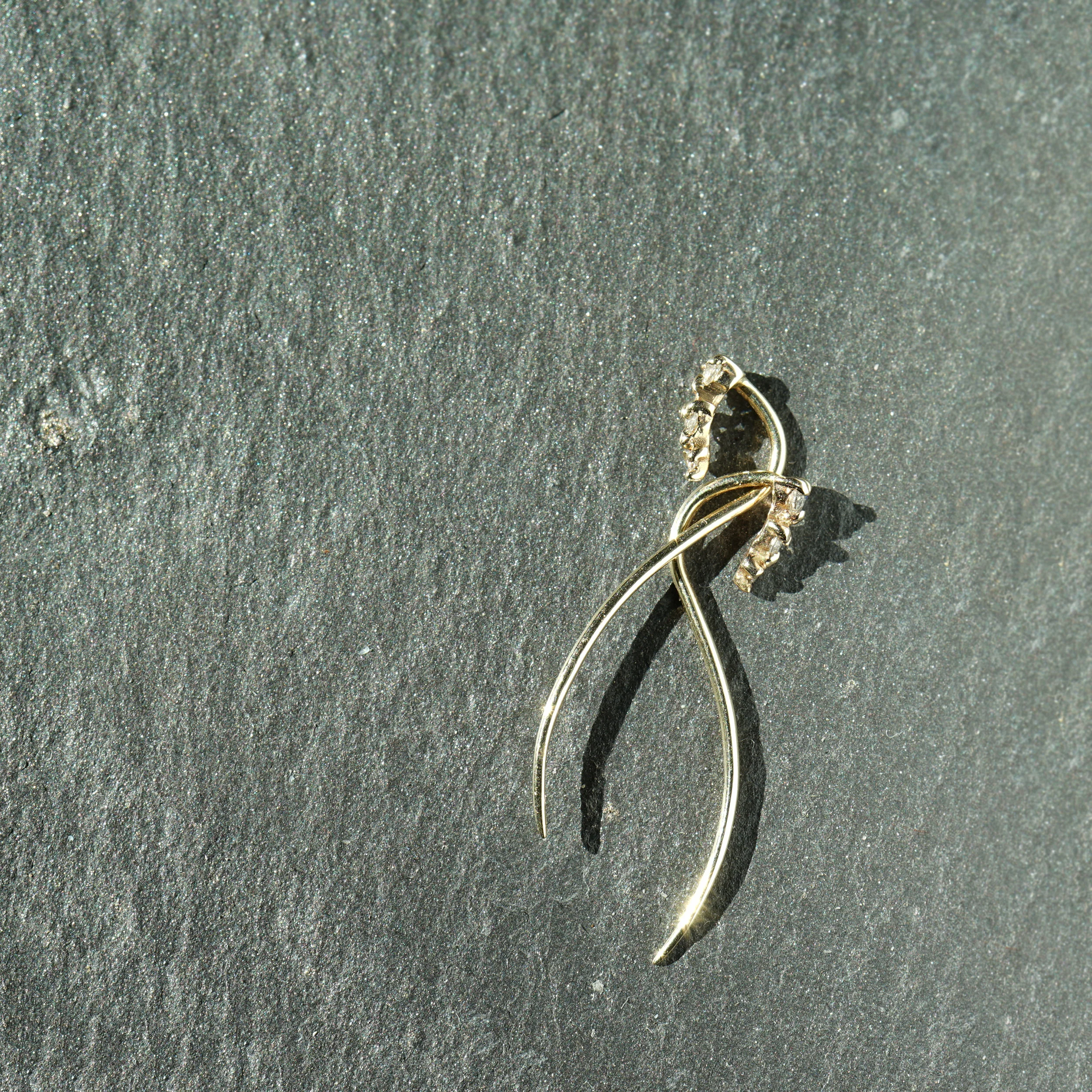 DSC03546.jpg