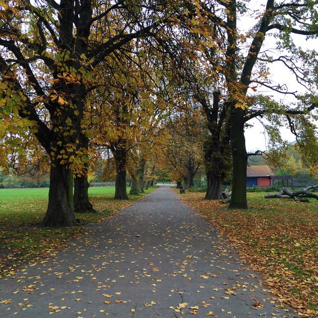 Clissold Park / Things To See In London // Second Floor Flat