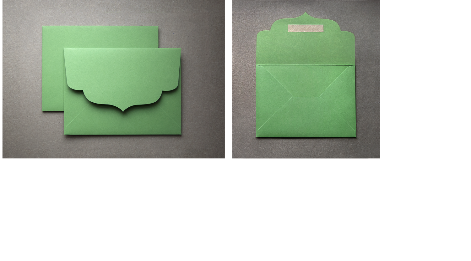 Green Env 2.png