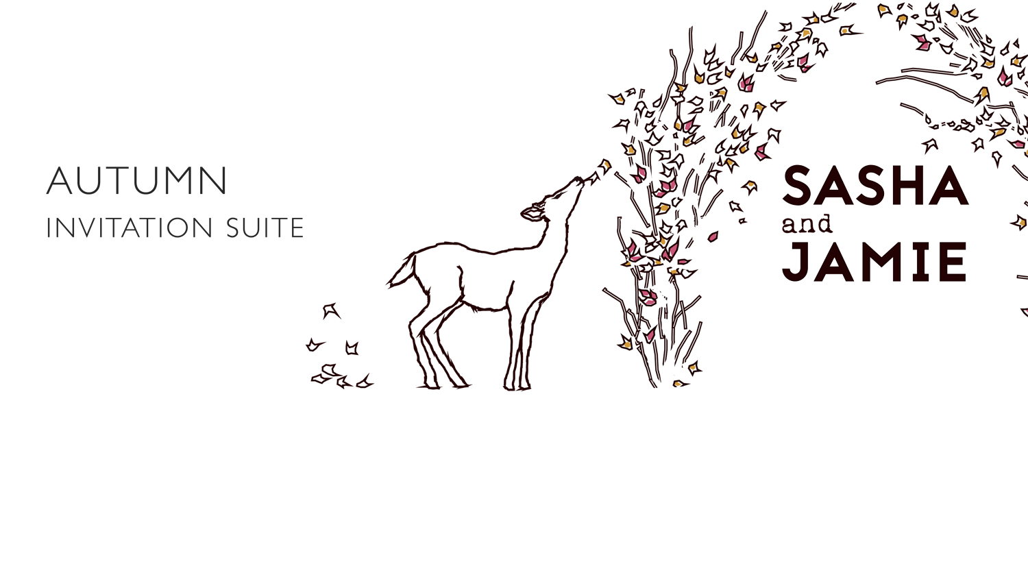 Collection-Autumn 1.png