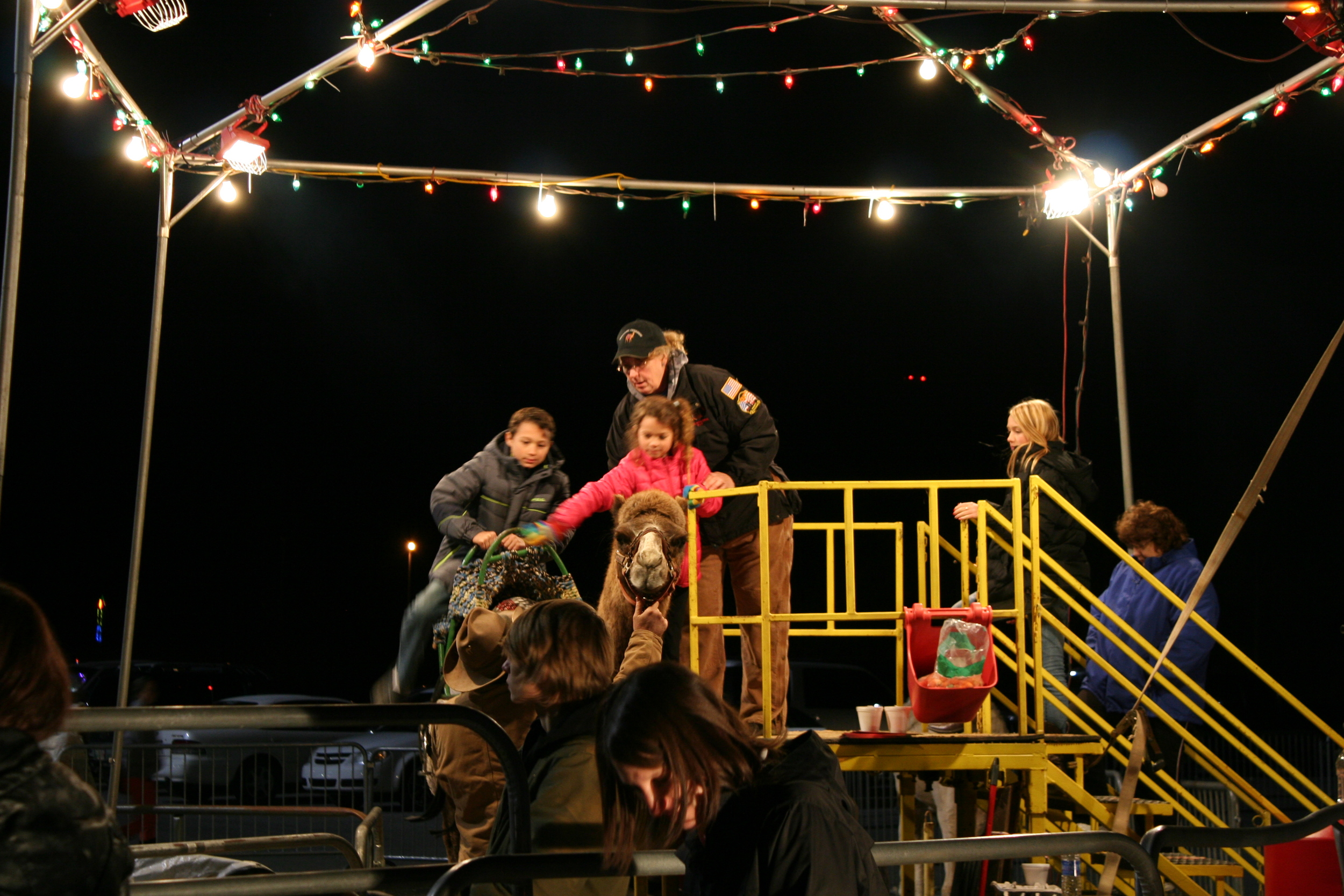 Sevierville, TN — Shadrack Christmas Wonderland