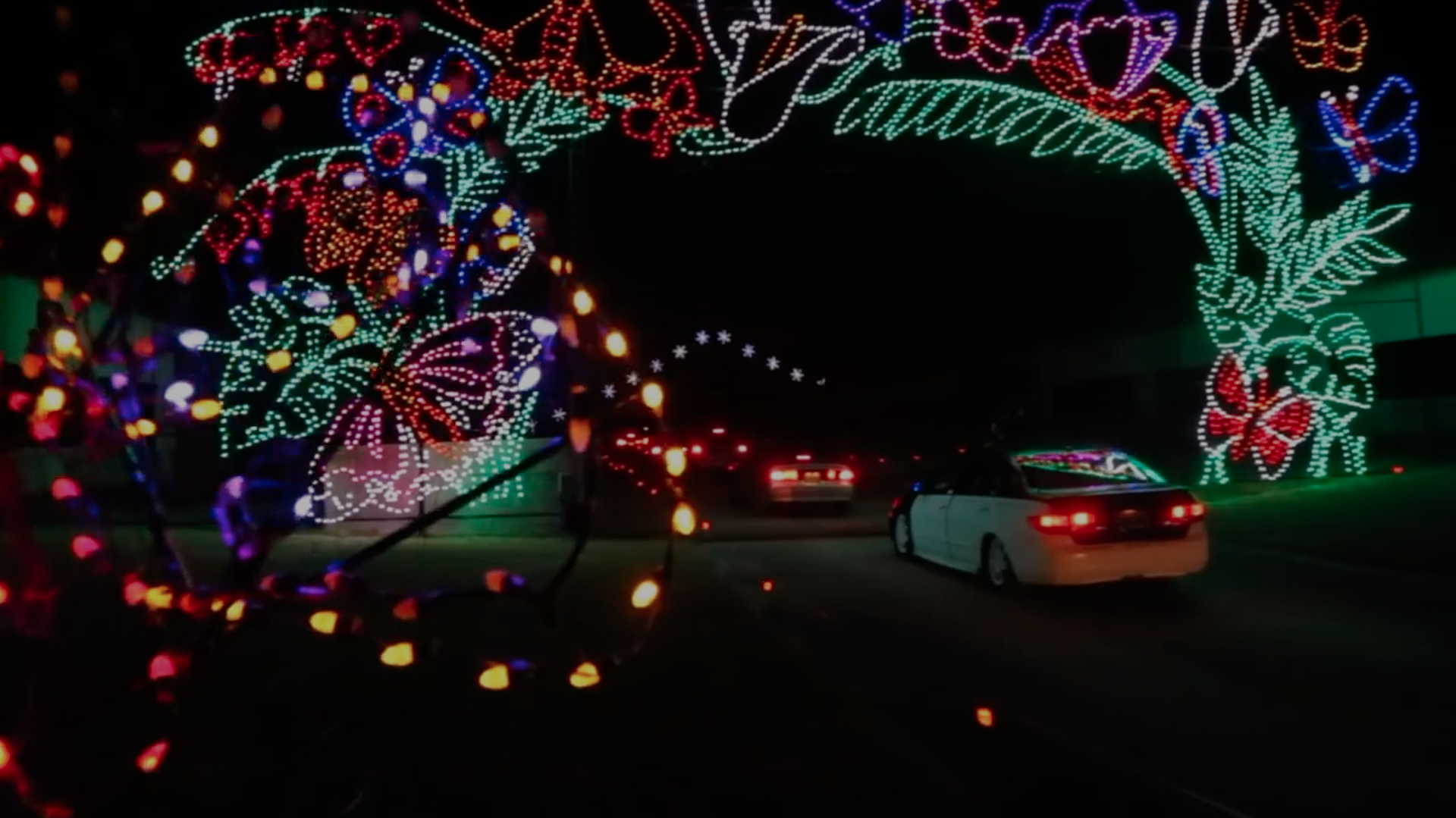 Shadrack Christmas Wonderland