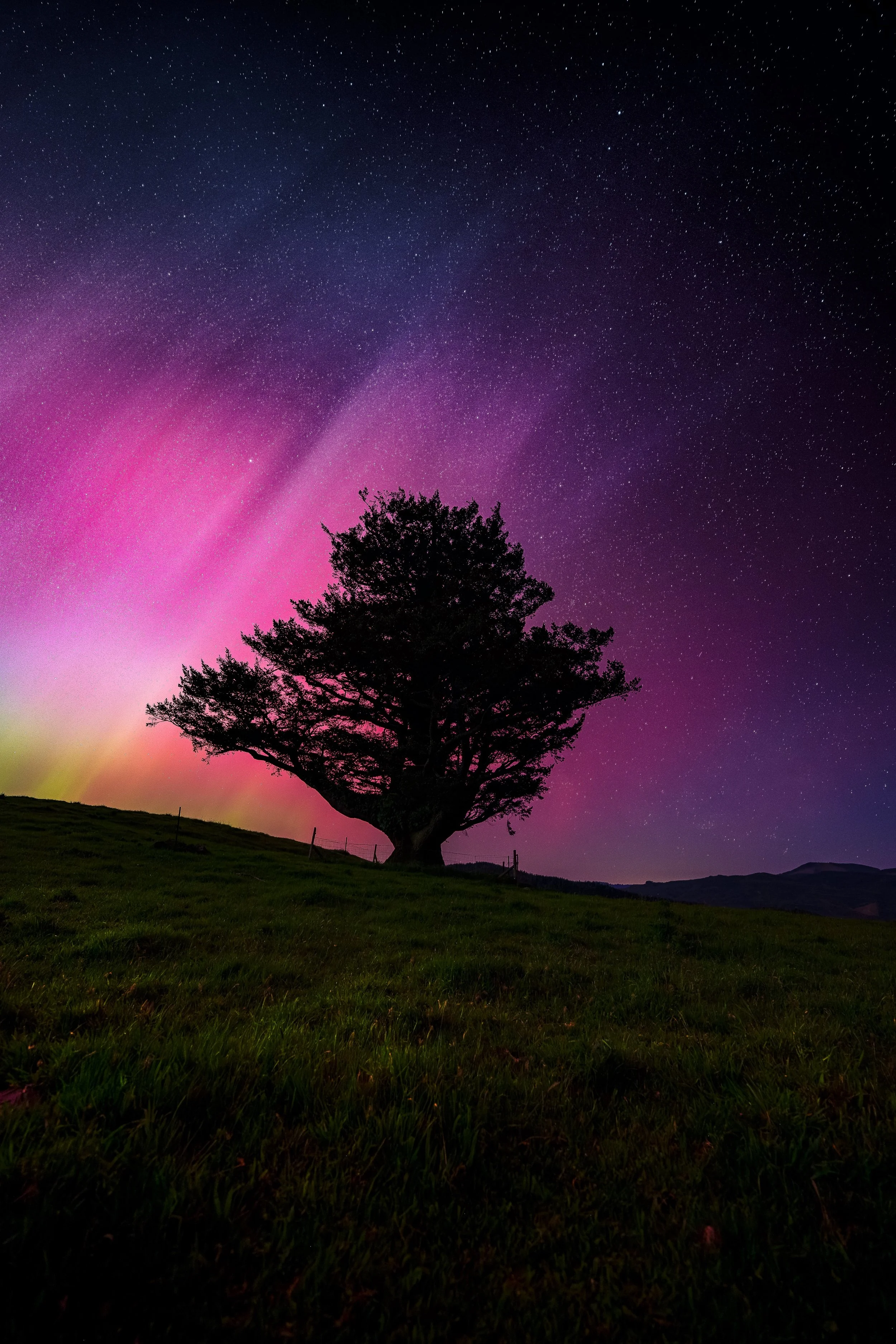 matte_hanna_Vx_print - Version 2.jpg