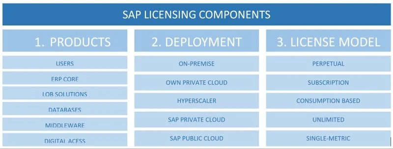 Optimizing Your SAP Contract Renewal — Jake Jorgovan