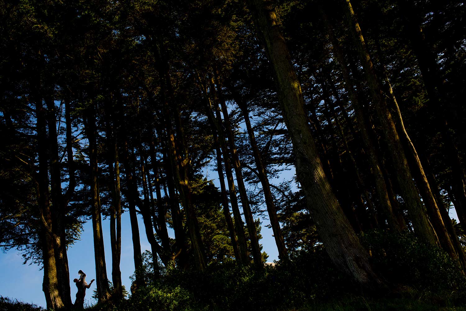 Lands End engagement photography