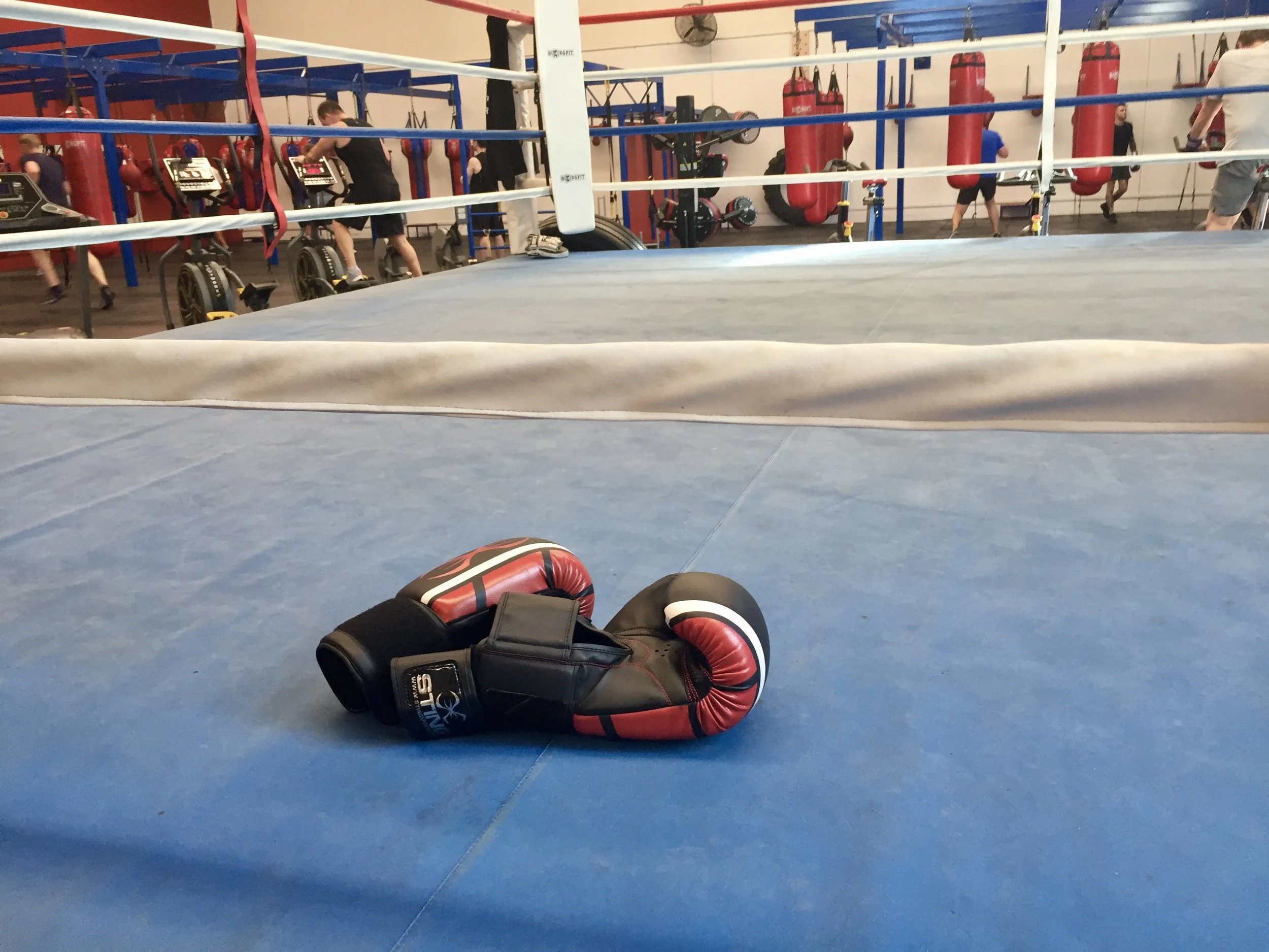Boxing Fit.jpg