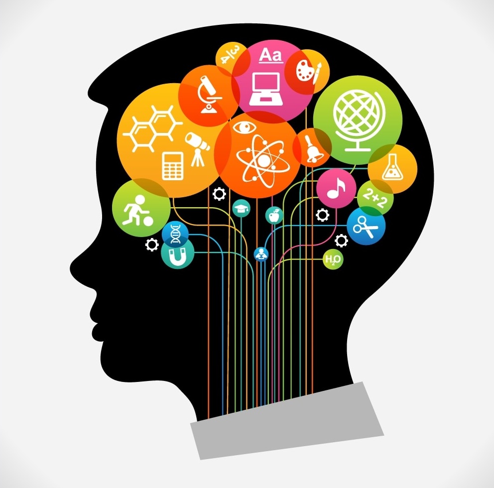 activities in the brain during critical thinking