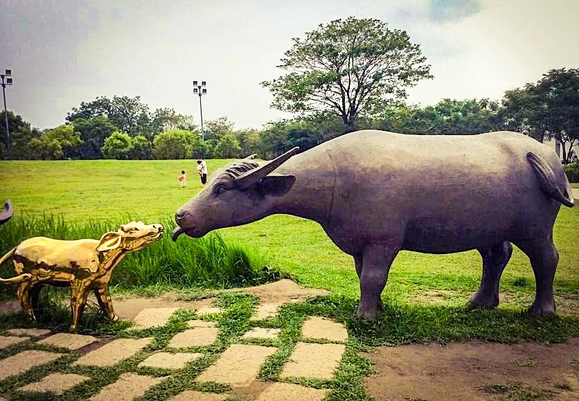  © 筱晴
