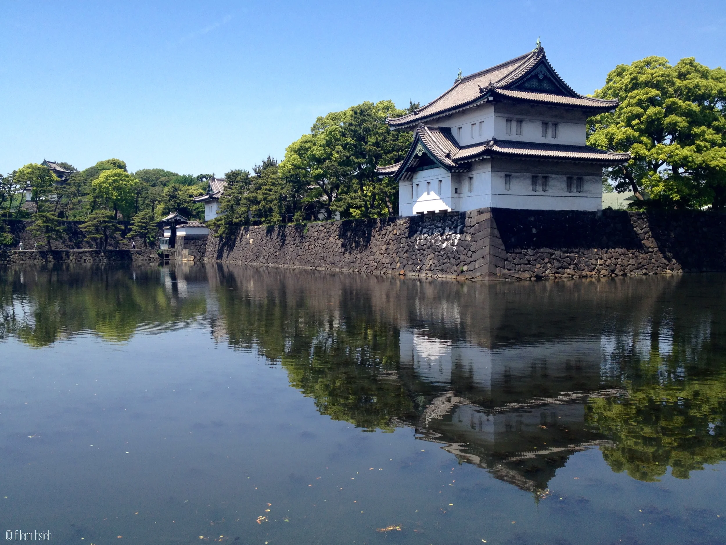 Behind the Gates: Tokyo Imperial Palace | 與皇宮有約 : 春遊東京皇居