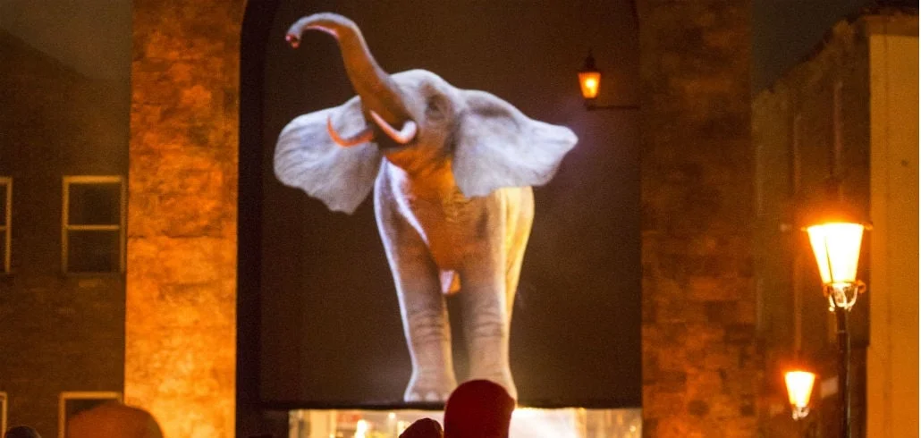 Elephantastic by Top'là Design - Regent Street