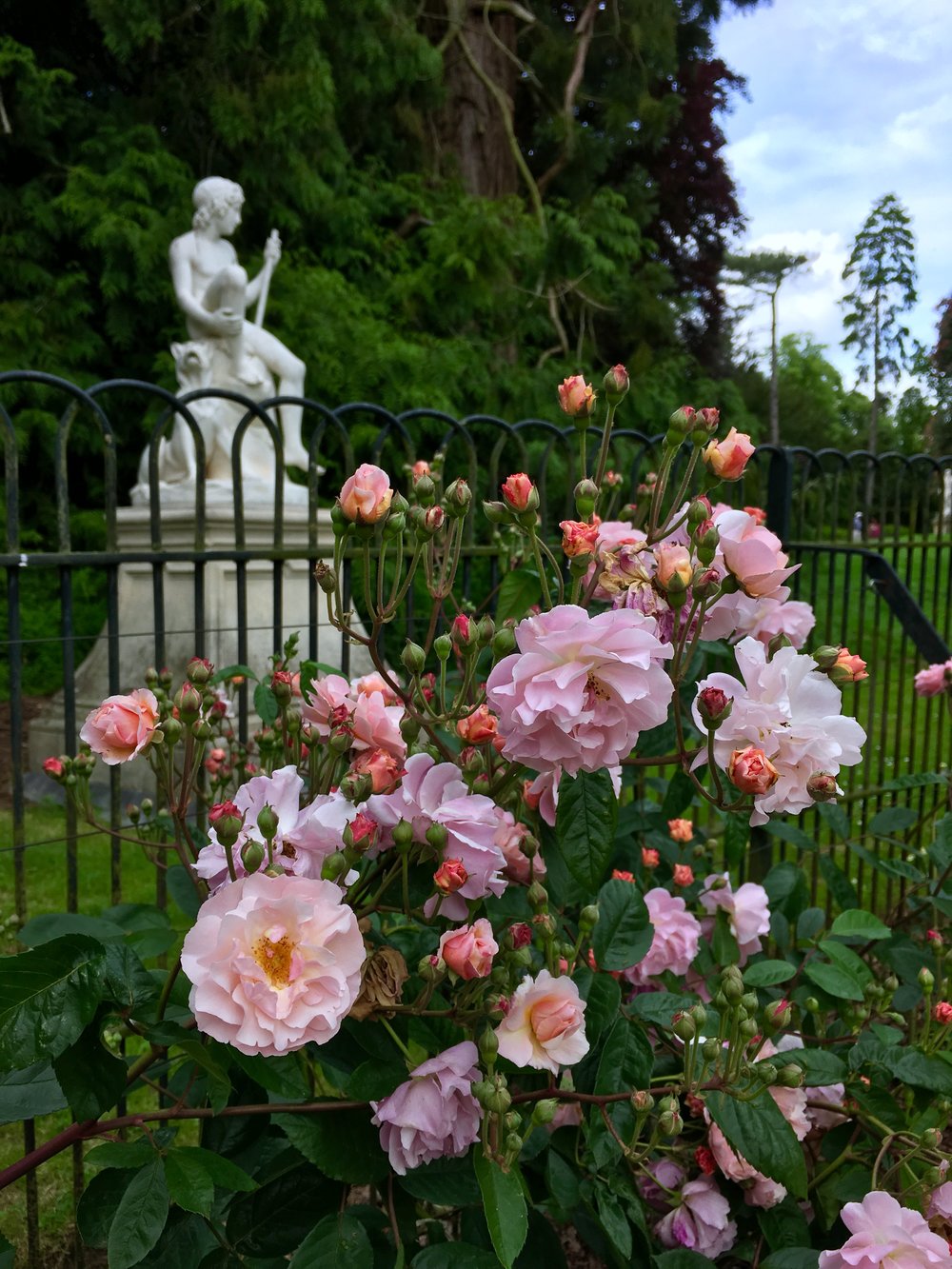 UK Waddesdon Manor rose garden 2 National Trust French Chateau Rothschild Buckinghamshire garden chateau Eileen Hsieh Follow That Bug .jpg