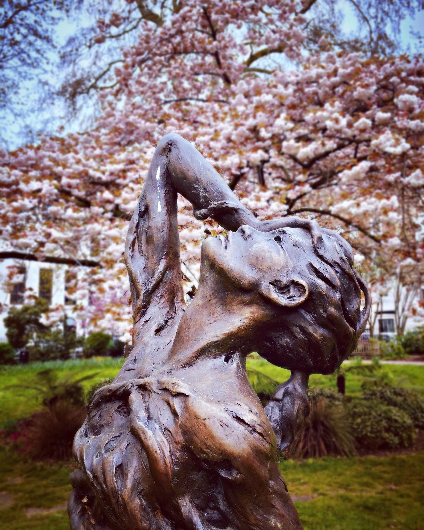 There is a sculpture in St James&rsquo;s Square Garden which, from a distance, appears to be a woman in a stunning floor-length gown standing in front of a canopy of pink blossoms, with her face tilted up high as if to soak up the sun. [Swipe 👉 for 
