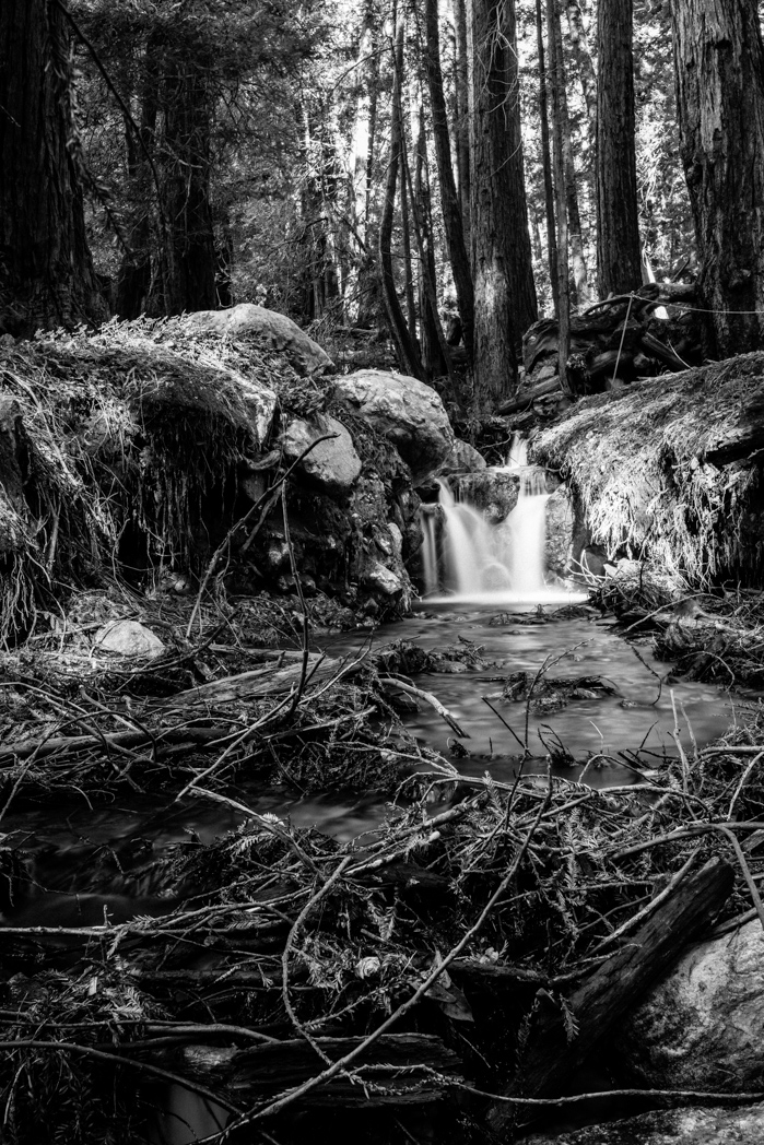 'even as waves that break above charybdis, each shattering the other when they meet, so must the spirits here dance their round dance.'