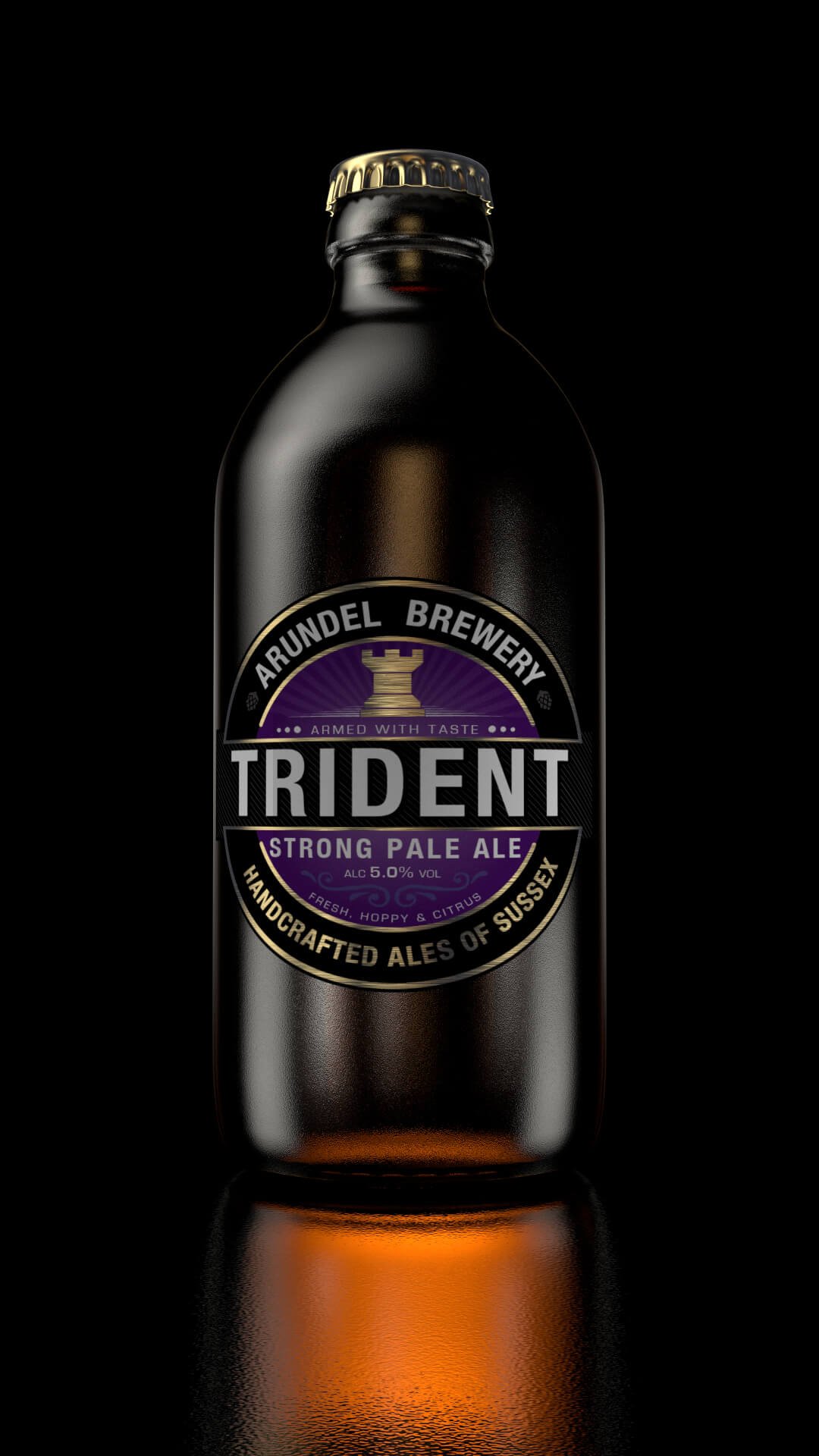 3D Visualising – Photorealistic 3D render of Arundel Brewery Trident ale bottle without condensation on a black background.