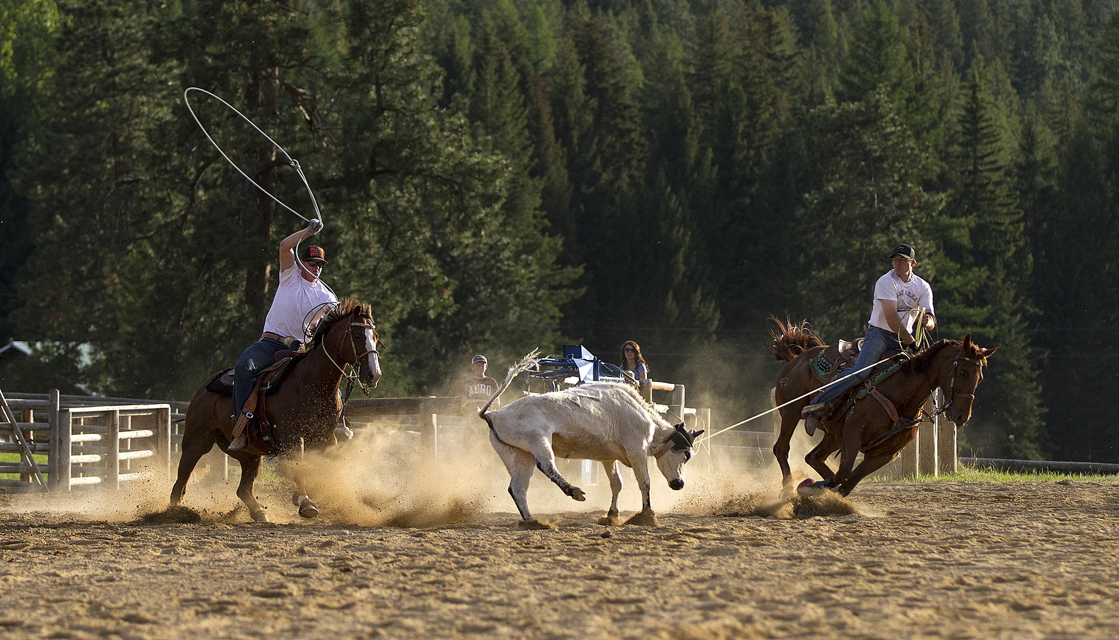 Rodeo 2