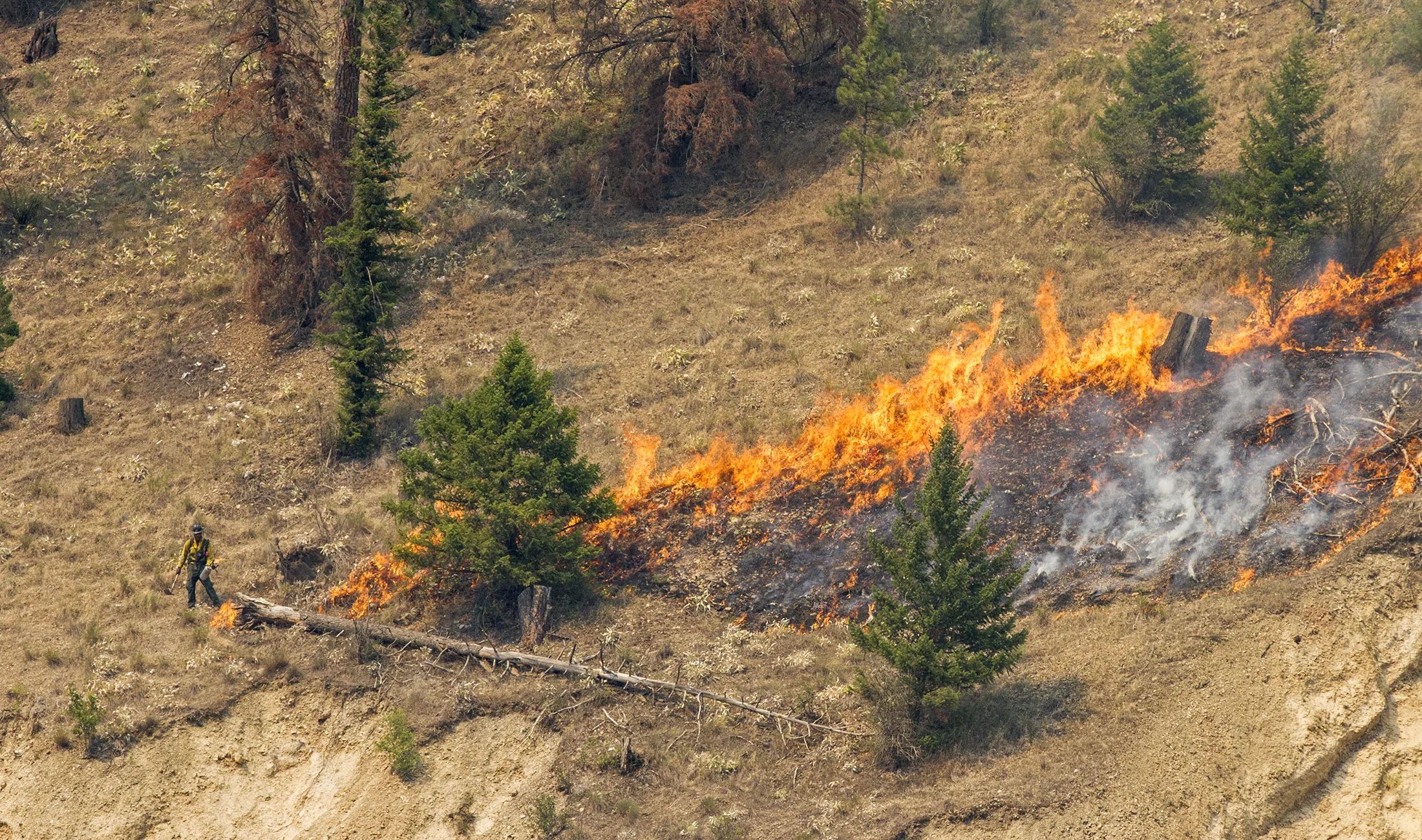 West Mullan Fire 7