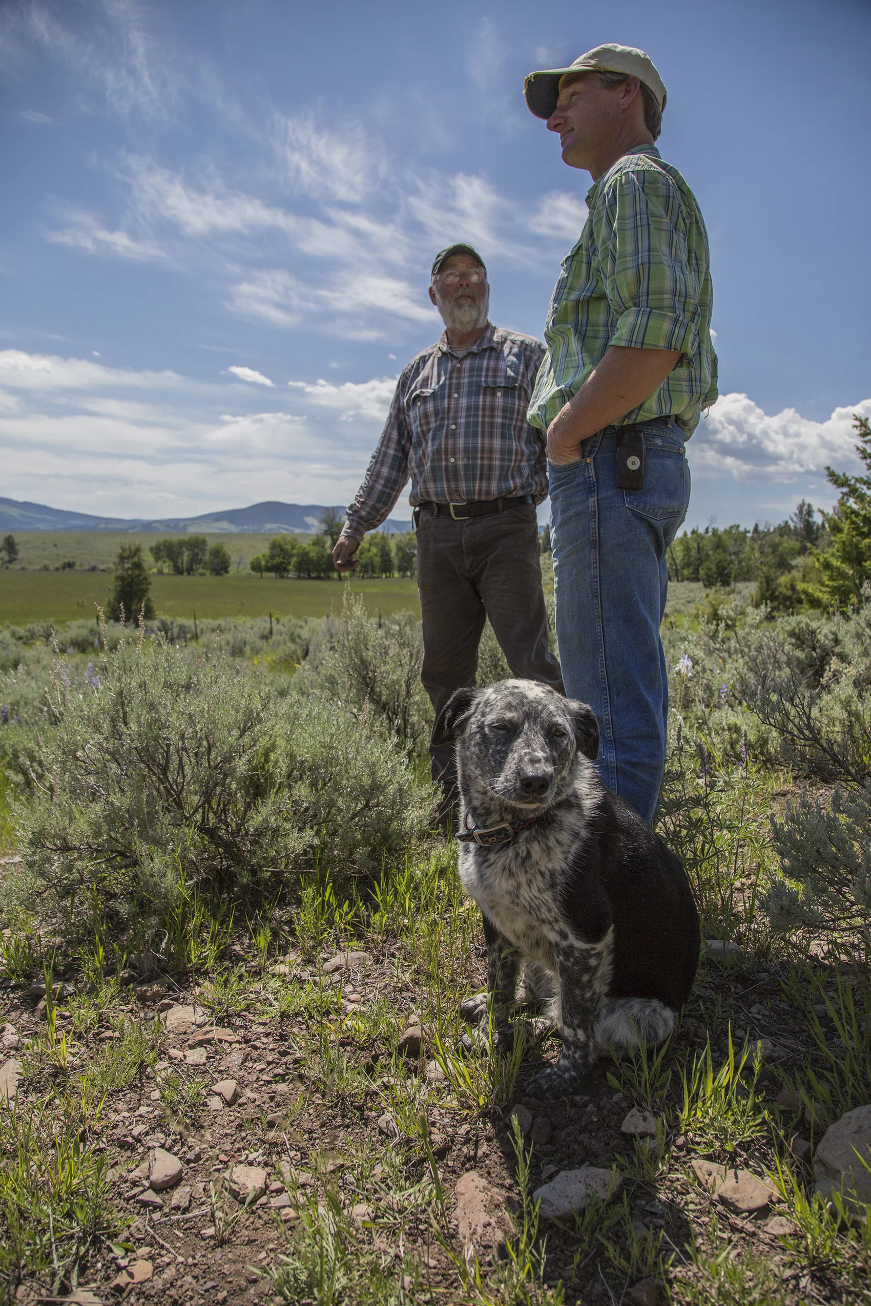 Conservation Easement 1