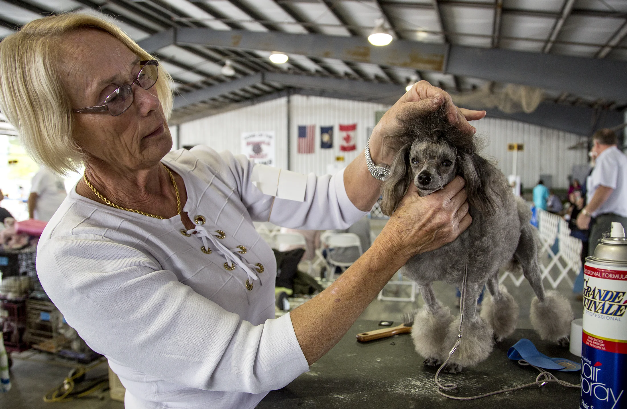 Dog Show 3