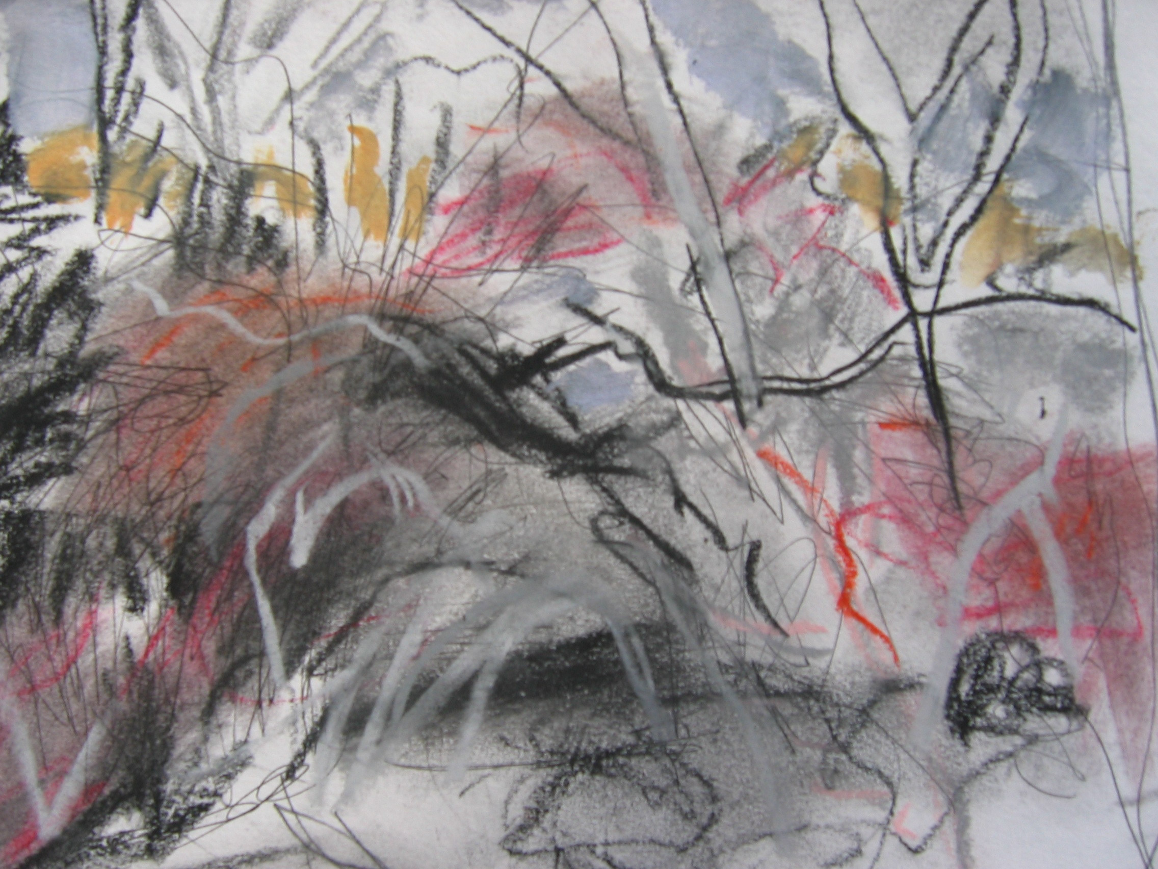 Winterscape