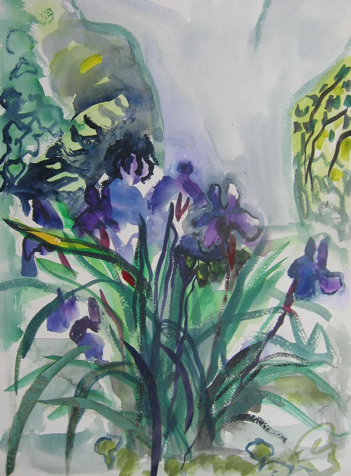 Irises With Ghost Tree