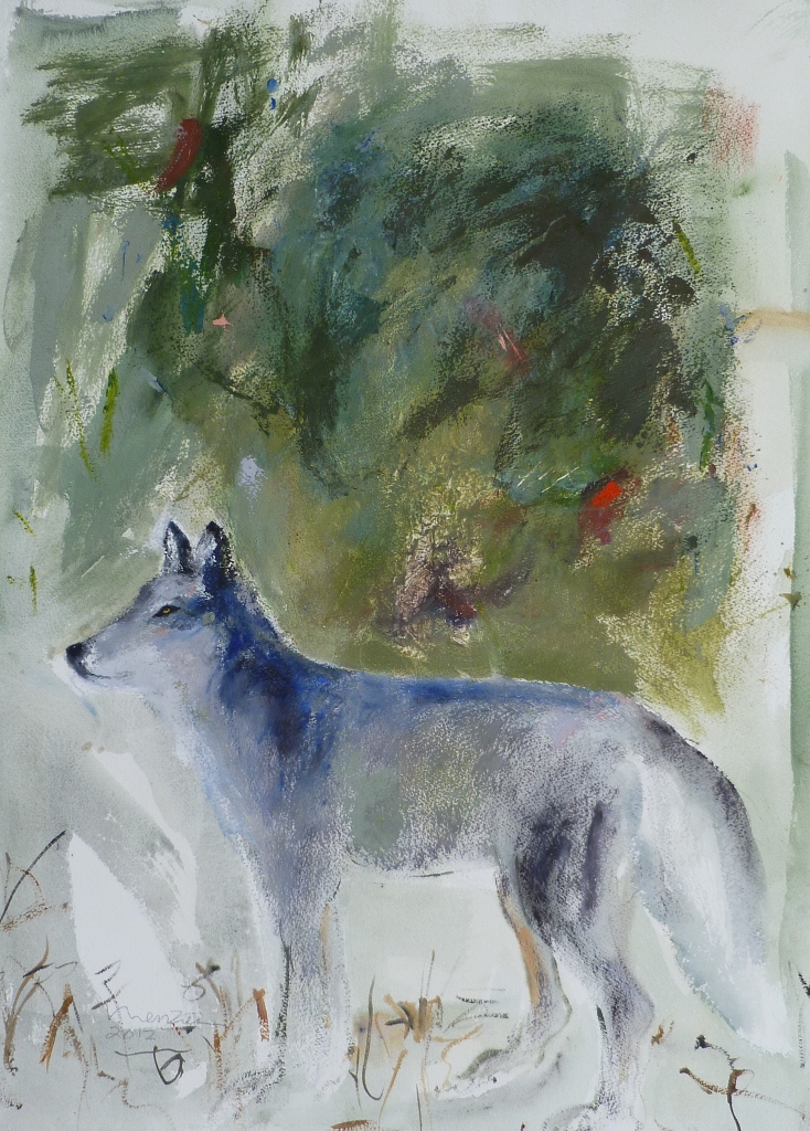 Courtauda as a Young Wolf