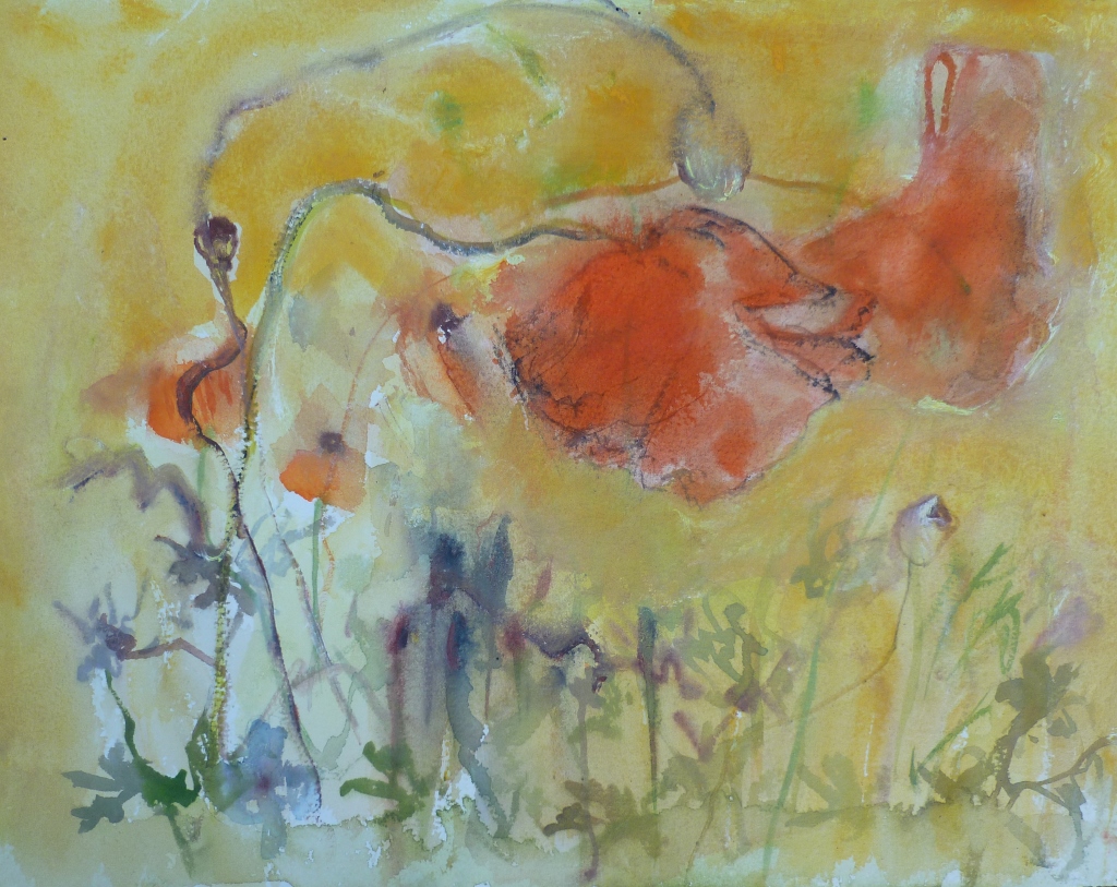 Poppies and Sun
