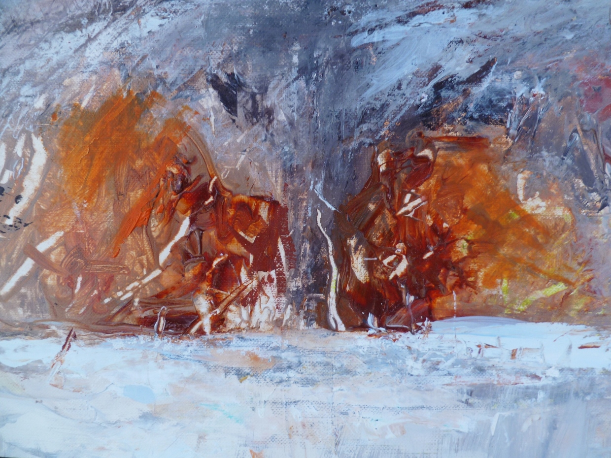 Burning Bushes in Winter