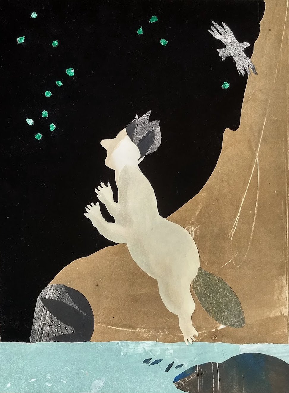 Beaver Boy Studies the Stars.jpg
