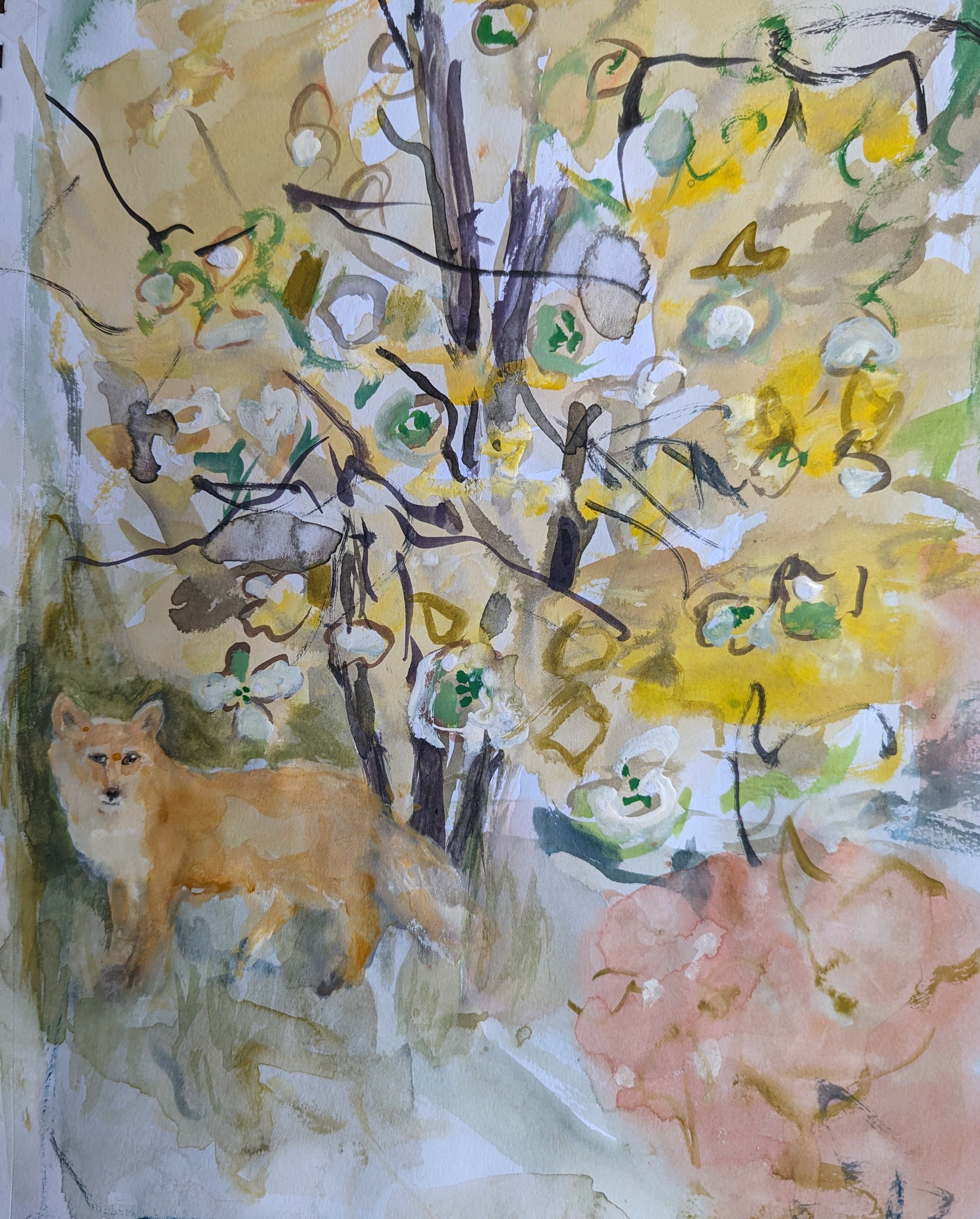 Fox near the Dogwood.jpg