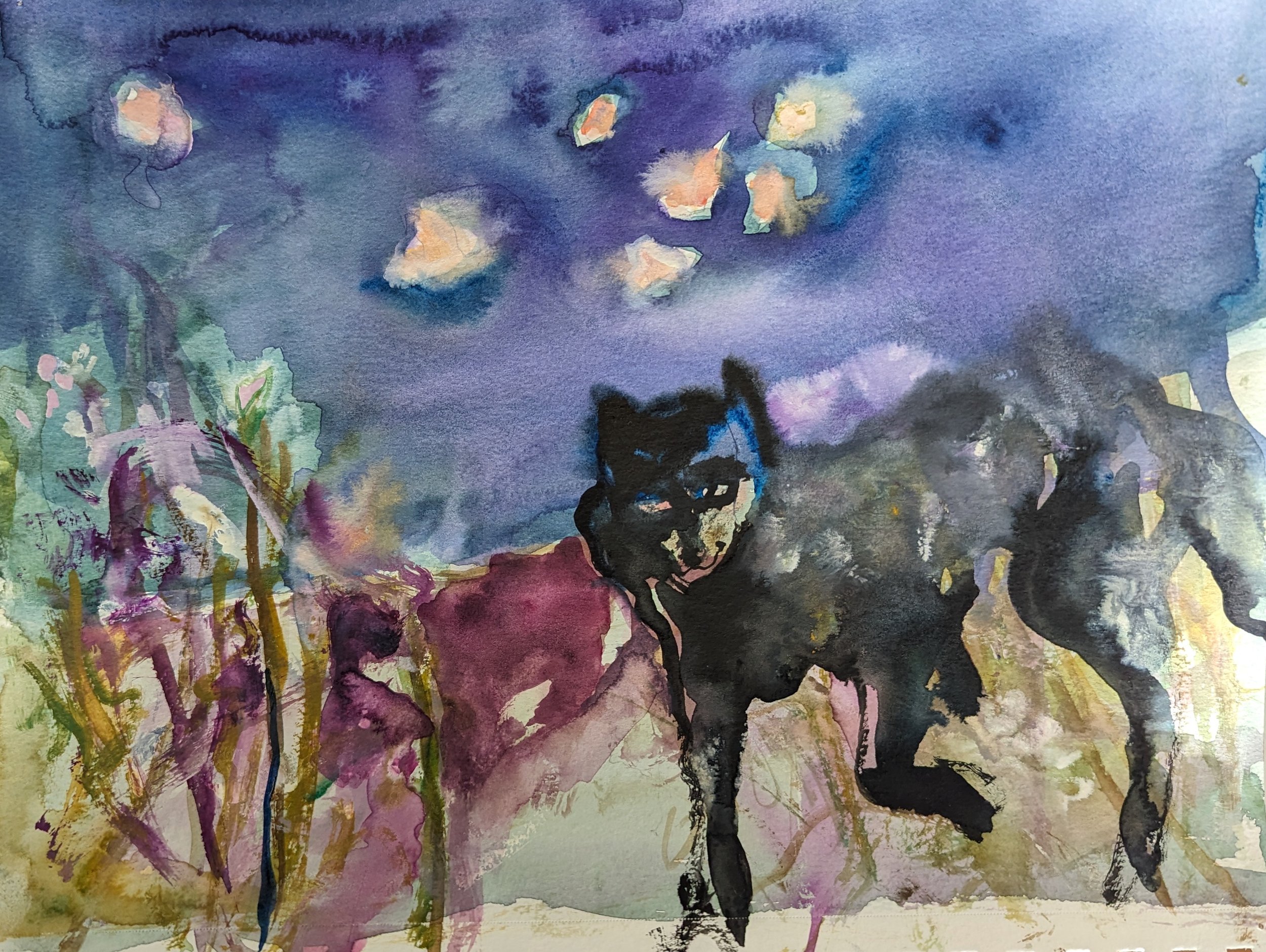 In the Valley of the Pink Butterflies
