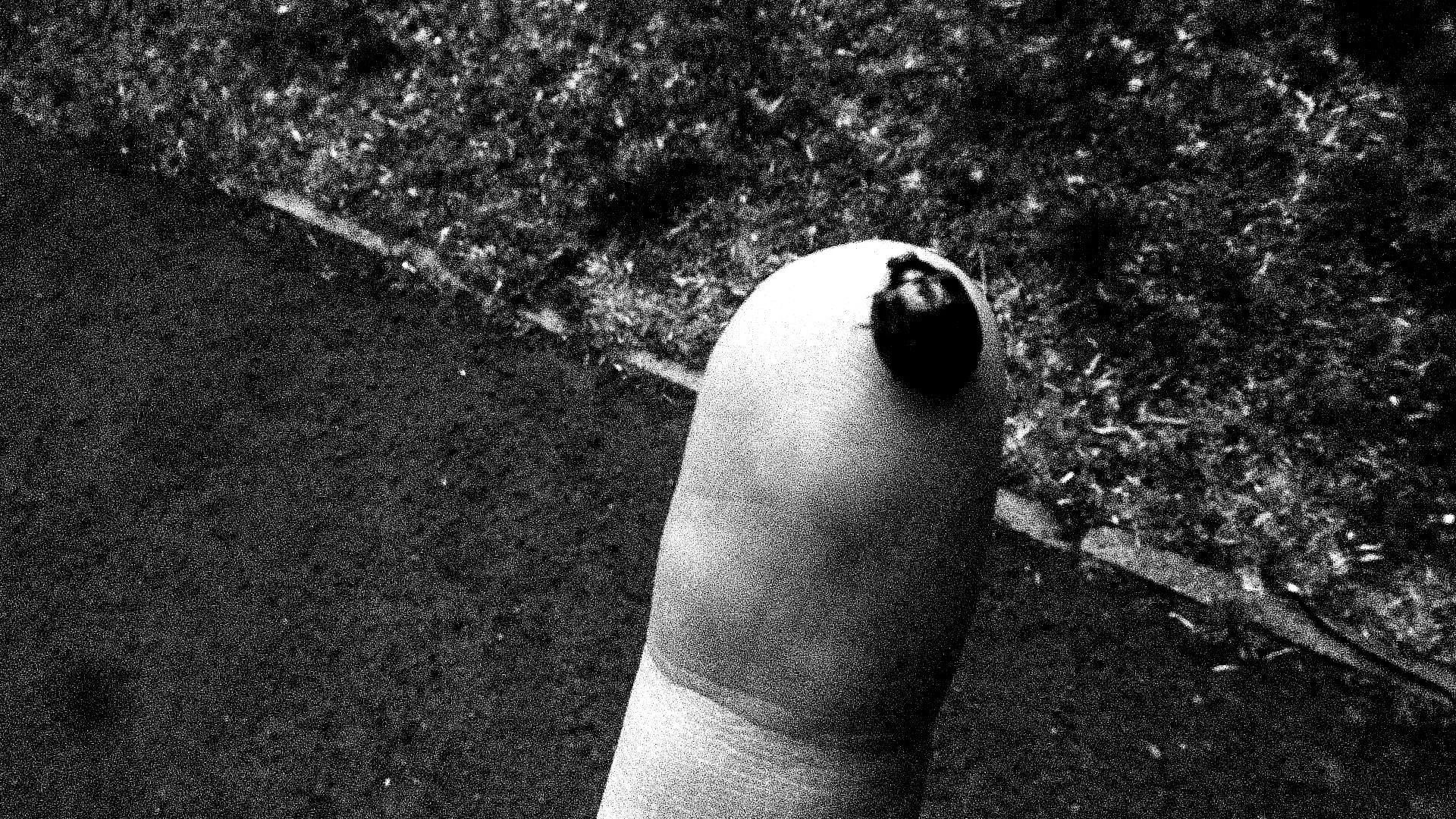 Concerning the Music of 2021