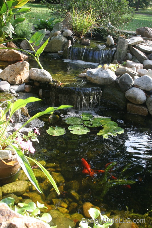 DesignBuildLLC.com_pond_01.jpg