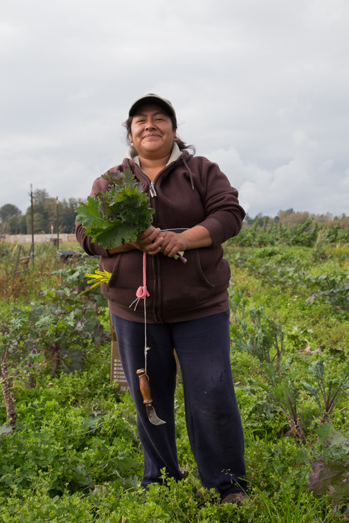 Nelida Martinez, a farmer and business owner at Viva Farms outside of Mt. Vernon, WA. Started in 2010, Viva Farms provides individuals the means to start independent agricultural endeavors.