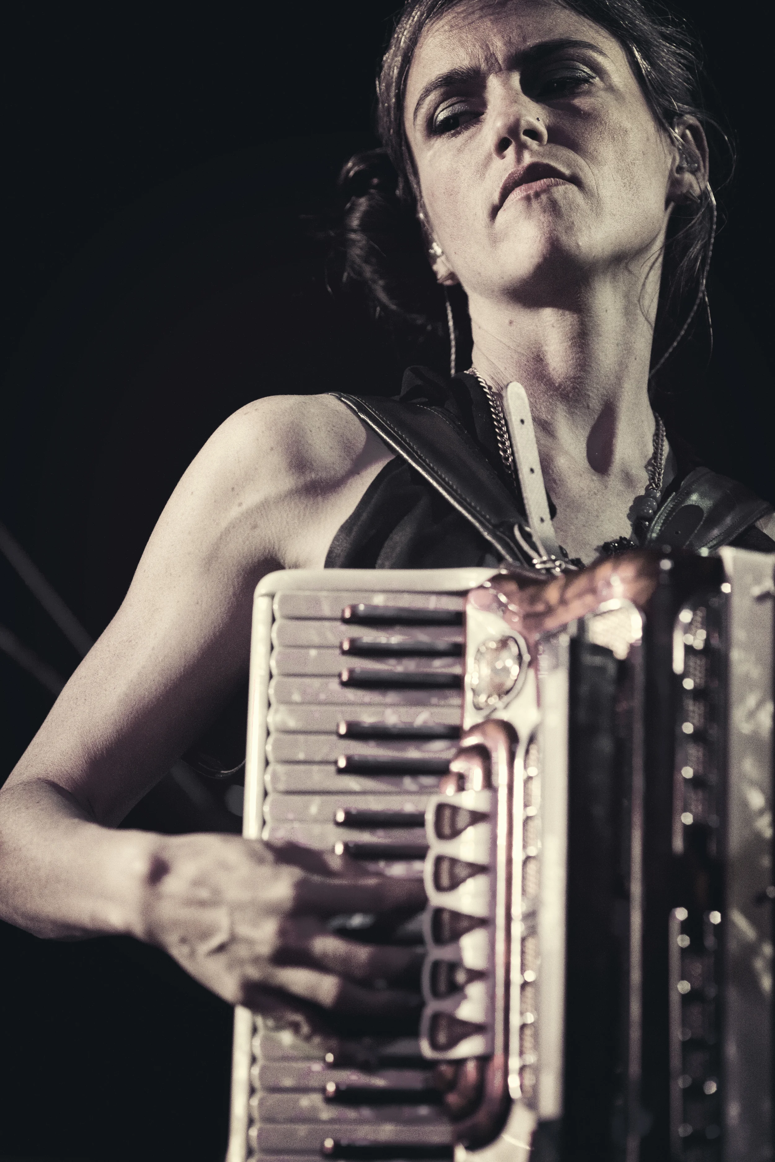 Beth Tacular | BOWERBIRDS