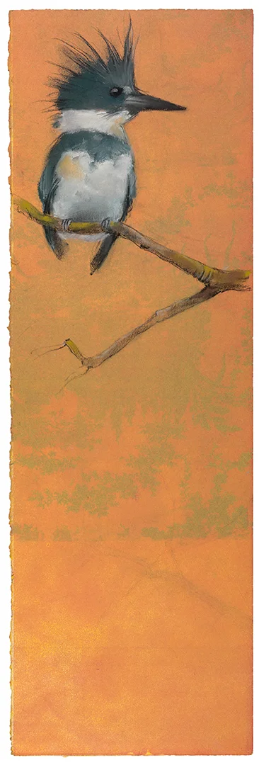 KIngfisher 2