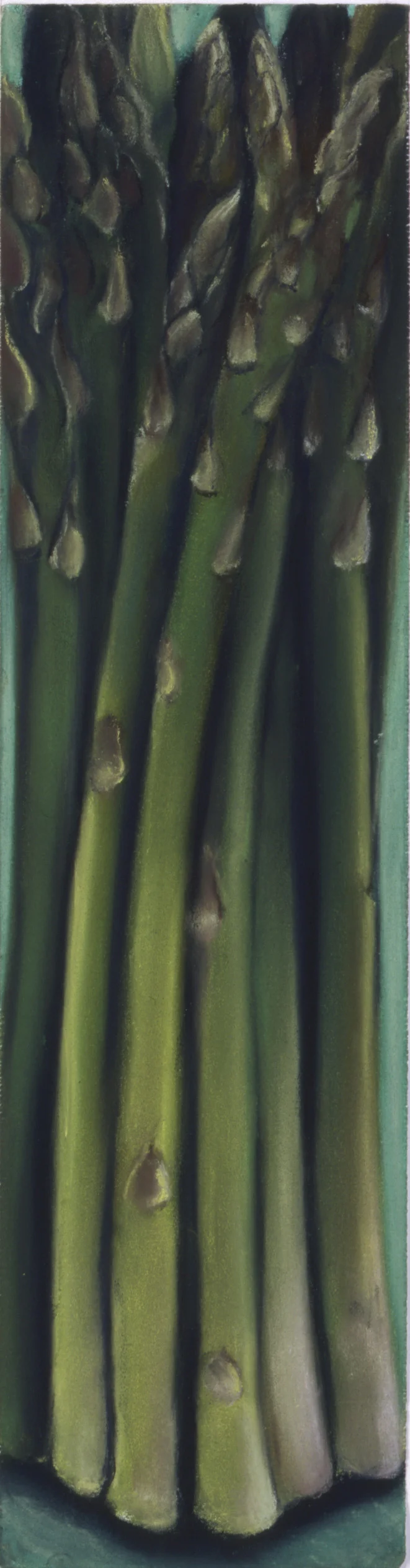 FV-Asparagus 1TP.jpg