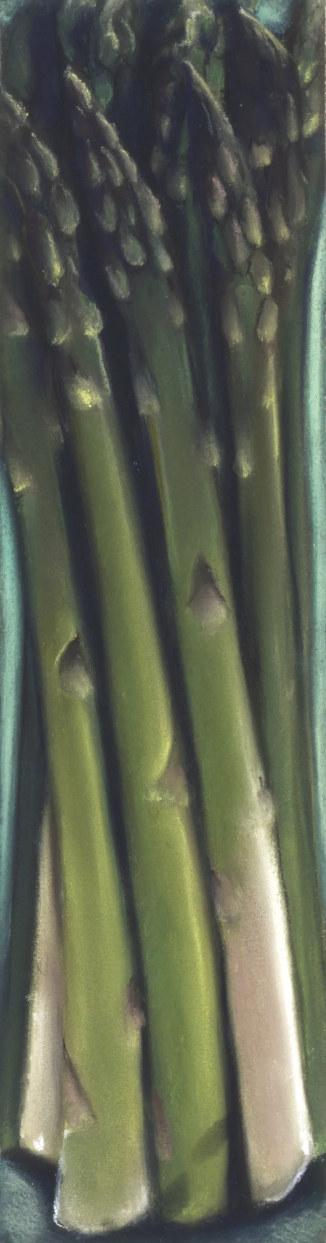 FV-Asparagus 2TP.jpg