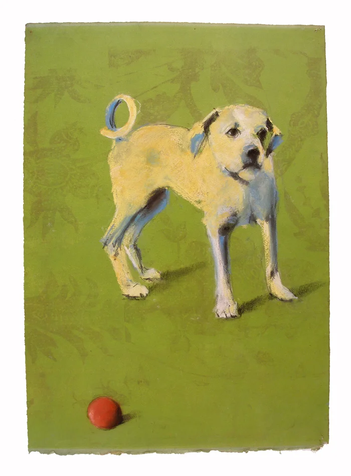 Yellow Dog # 9