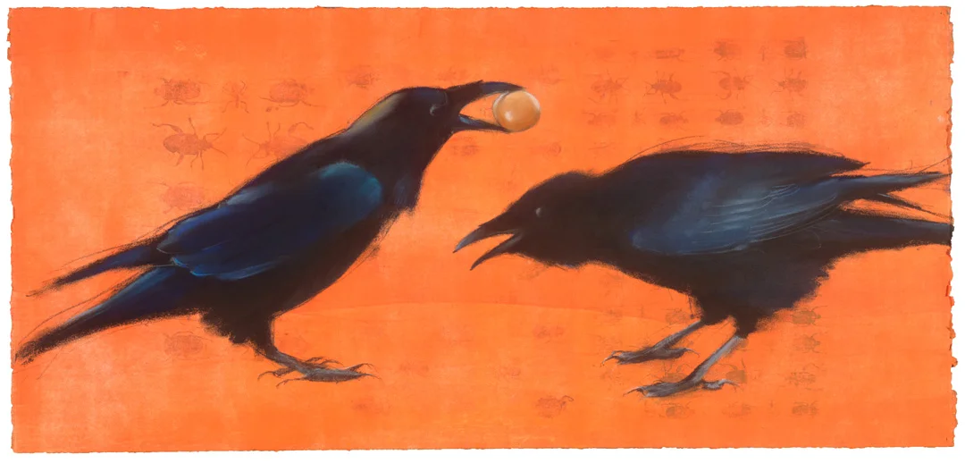 Ravens #20
