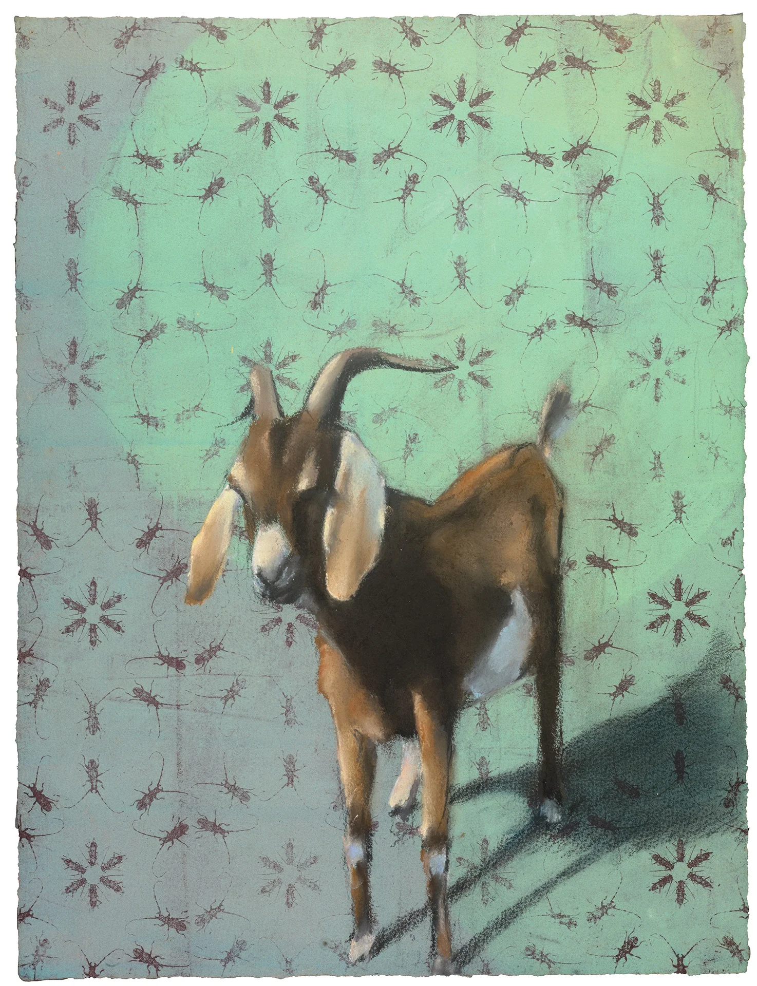 Goat #31