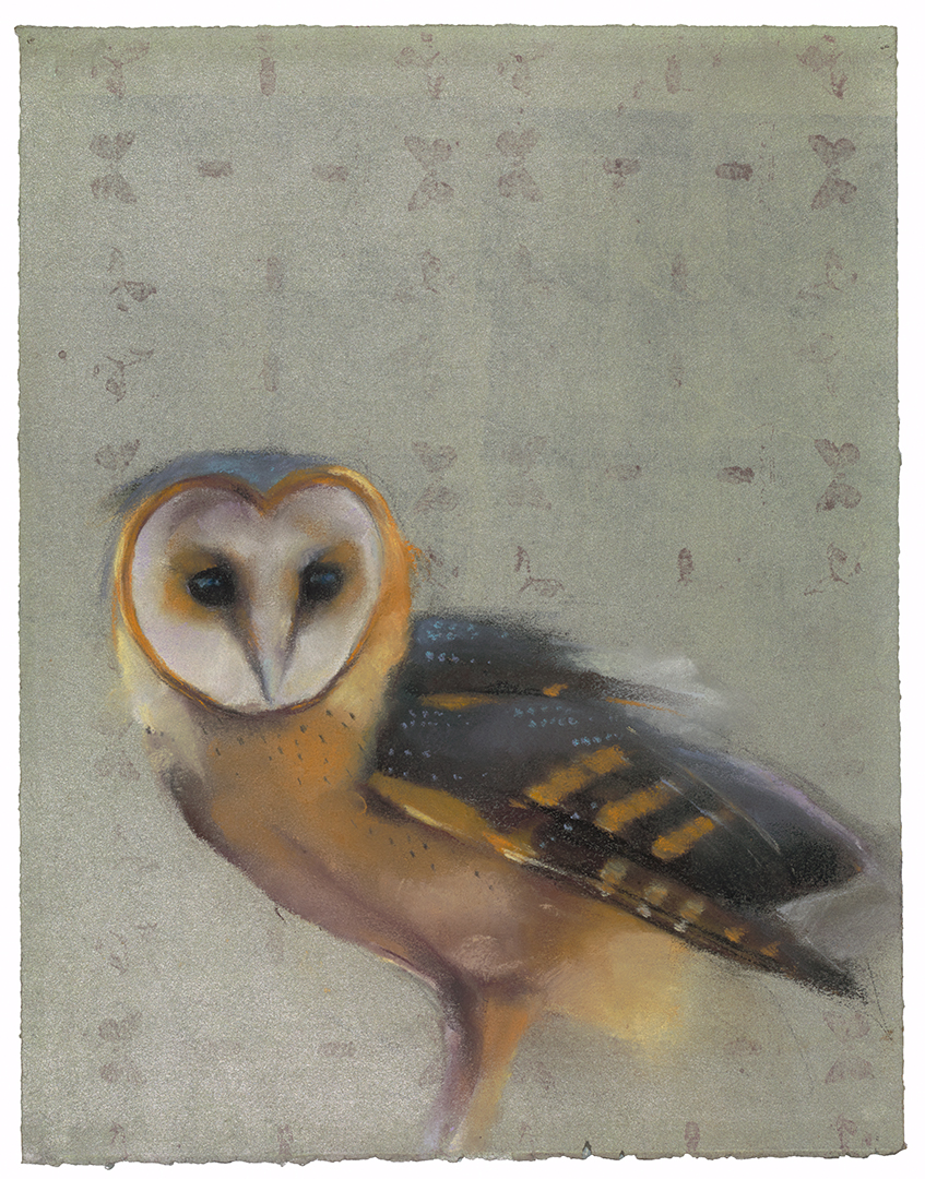 Barn Owl on Silver